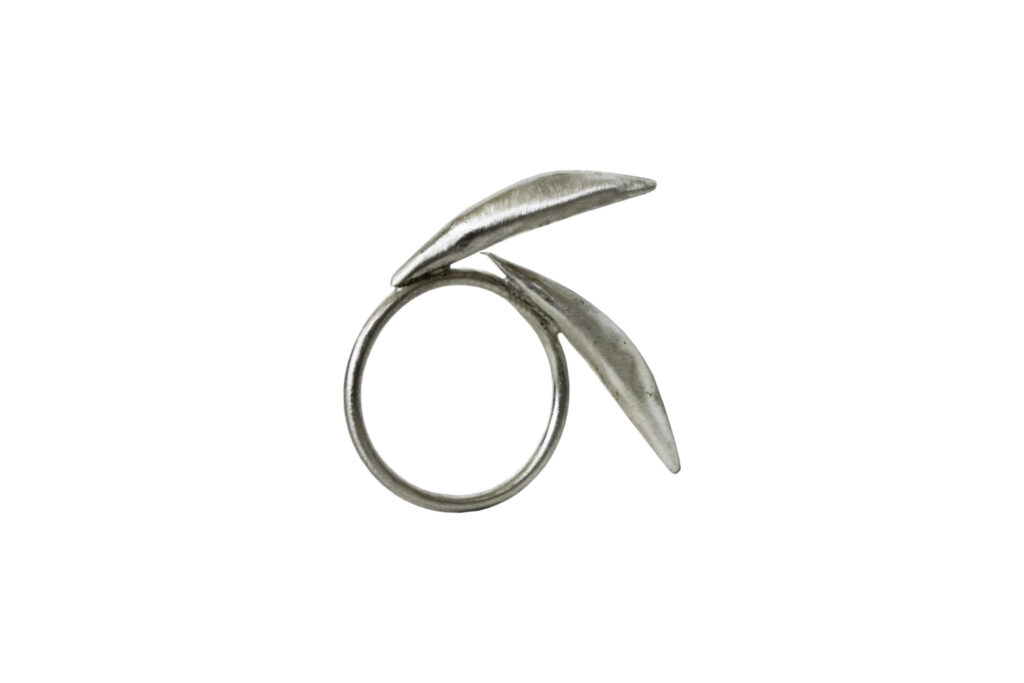 Wings ring