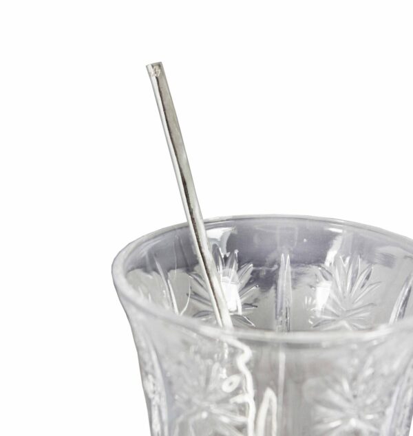 Eco Fine Silver Straw
